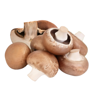 Agaricus Blazei