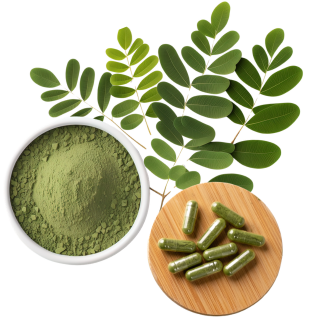 Moringa Oleifera