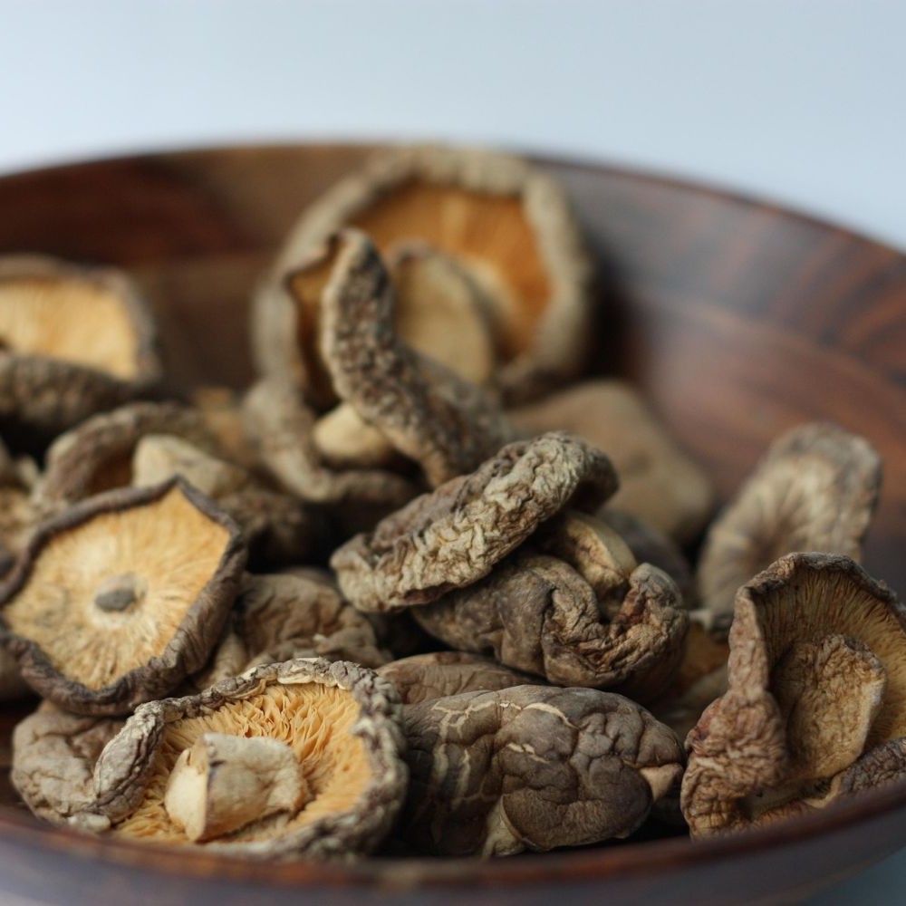 Lentinula edodes (shiitake):  miért tartják az egyik leghasznosabb gyógygombának?